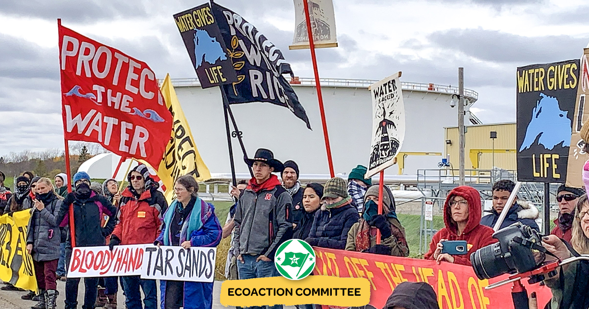 Ecoaction Committee of the Green Party